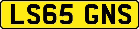 LS65GNS
