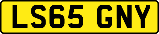 LS65GNY