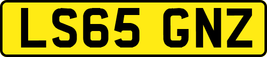 LS65GNZ