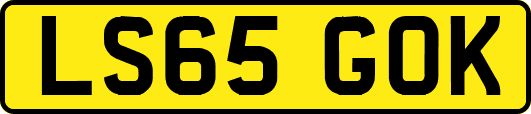 LS65GOK