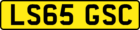 LS65GSC