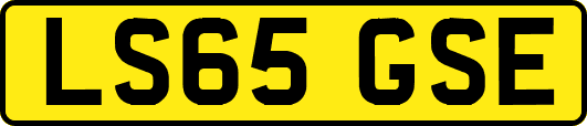 LS65GSE