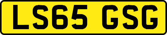 LS65GSG
