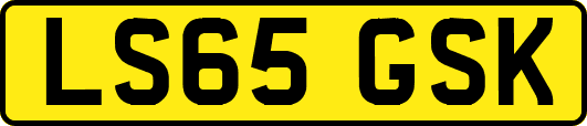 LS65GSK