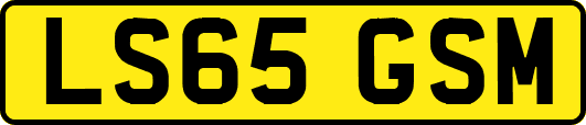 LS65GSM