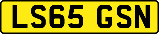 LS65GSN