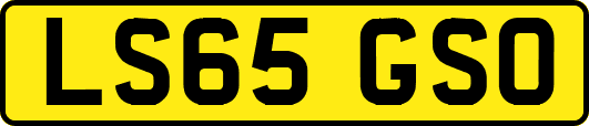 LS65GSO