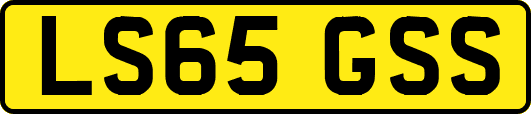 LS65GSS