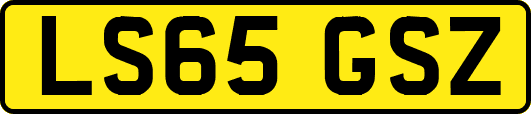 LS65GSZ