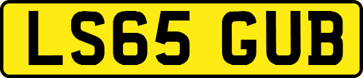 LS65GUB