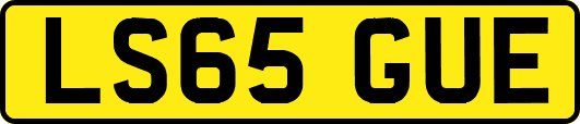 LS65GUE
