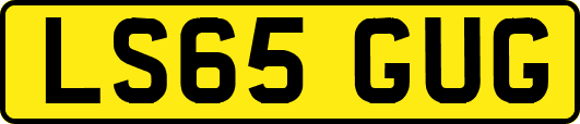 LS65GUG