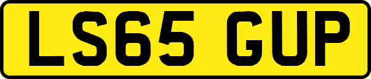 LS65GUP