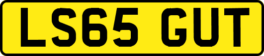LS65GUT