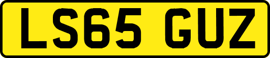 LS65GUZ
