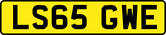 LS65GWE