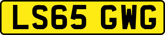 LS65GWG