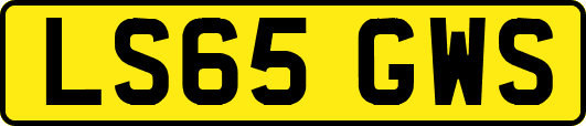 LS65GWS