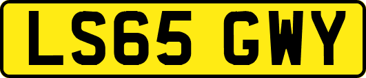 LS65GWY