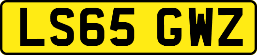 LS65GWZ