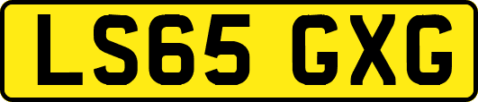 LS65GXG