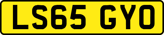LS65GYO