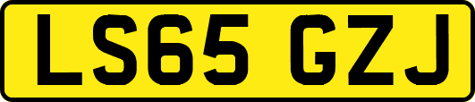 LS65GZJ