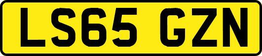 LS65GZN