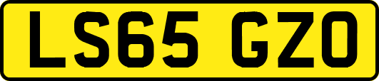 LS65GZO