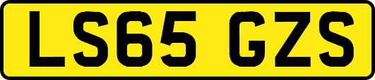 LS65GZS