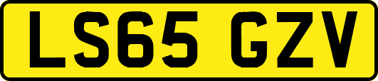 LS65GZV
