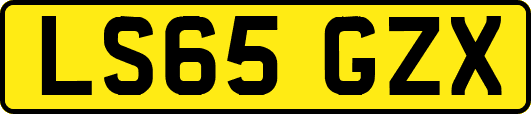 LS65GZX