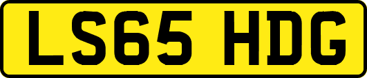 LS65HDG