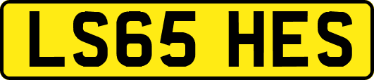 LS65HES