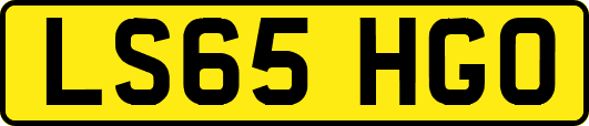 LS65HGO