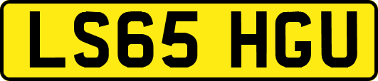 LS65HGU