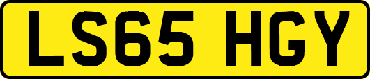LS65HGY