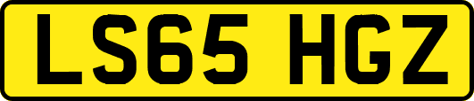 LS65HGZ
