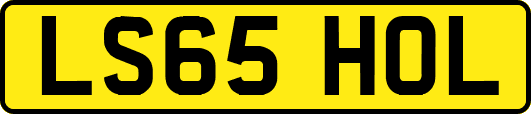 LS65HOL