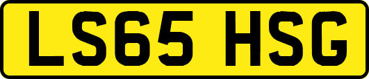 LS65HSG