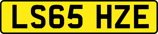 LS65HZE