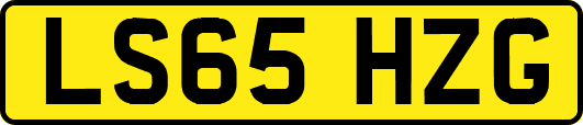 LS65HZG