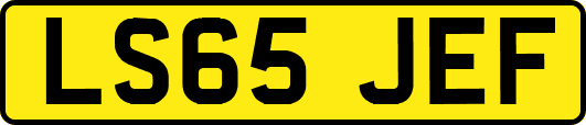 LS65JEF