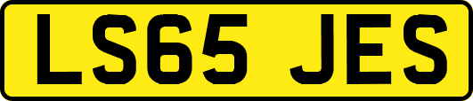 LS65JES
