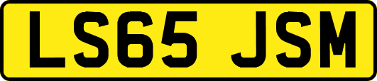 LS65JSM