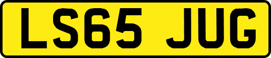 LS65JUG