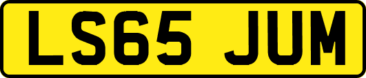 LS65JUM