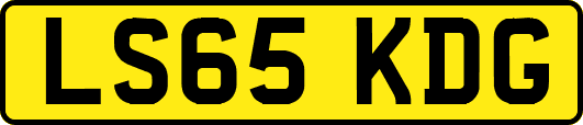 LS65KDG