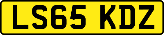 LS65KDZ