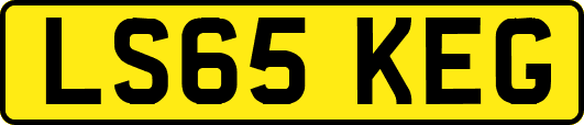 LS65KEG